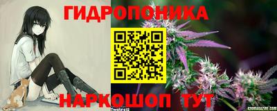 шишки Пенза