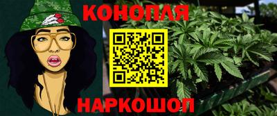 шишки Пенза